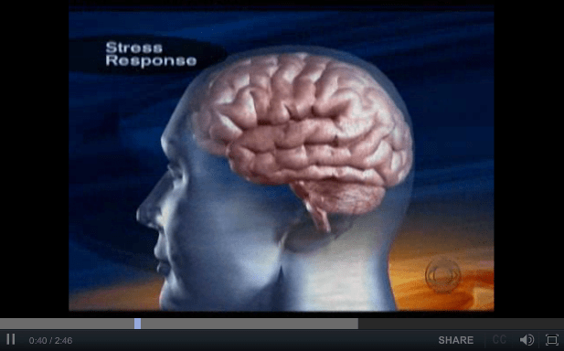 Effects of Chronic Stress on the Brain - a CBS Video Short