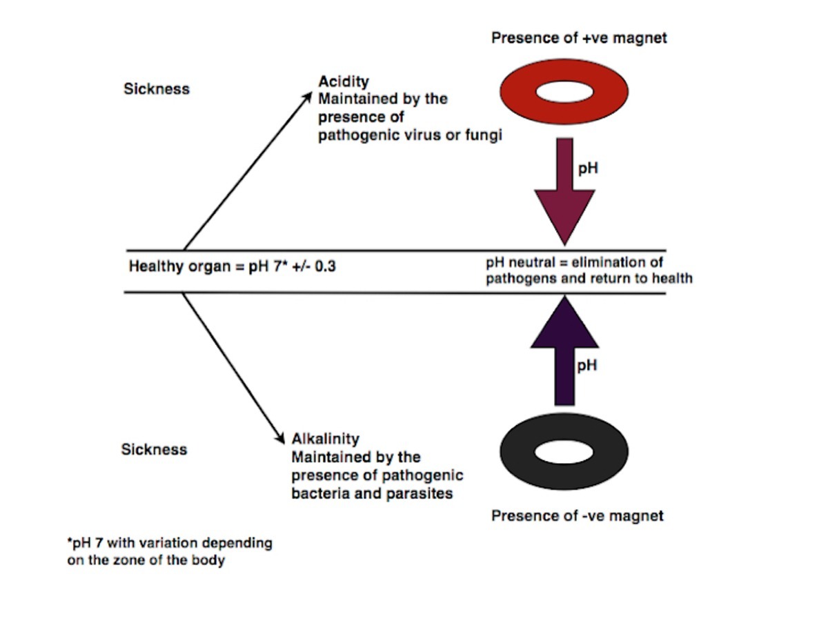 Bio-Magnetic Pair Therapy - The Boston Alphabiotic Center for Health ...